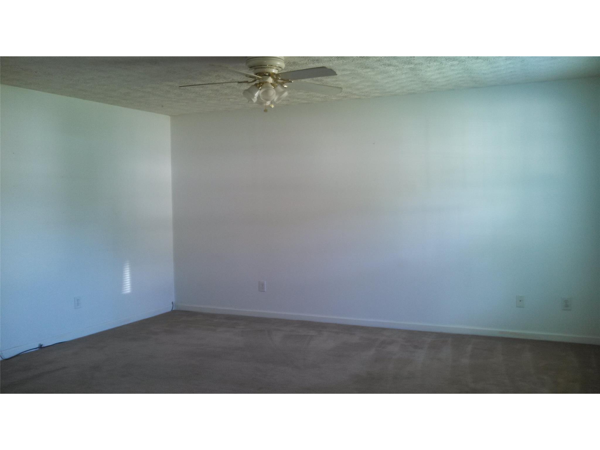 161 Caldwell Dr, Hampton, GA 30228 photo 7