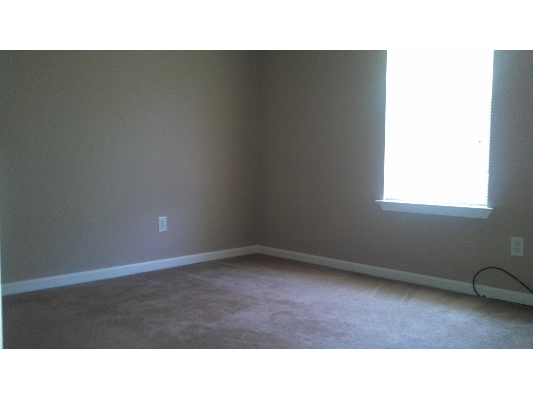 161 Caldwell Dr, Hampton, GA 30228 photo 17