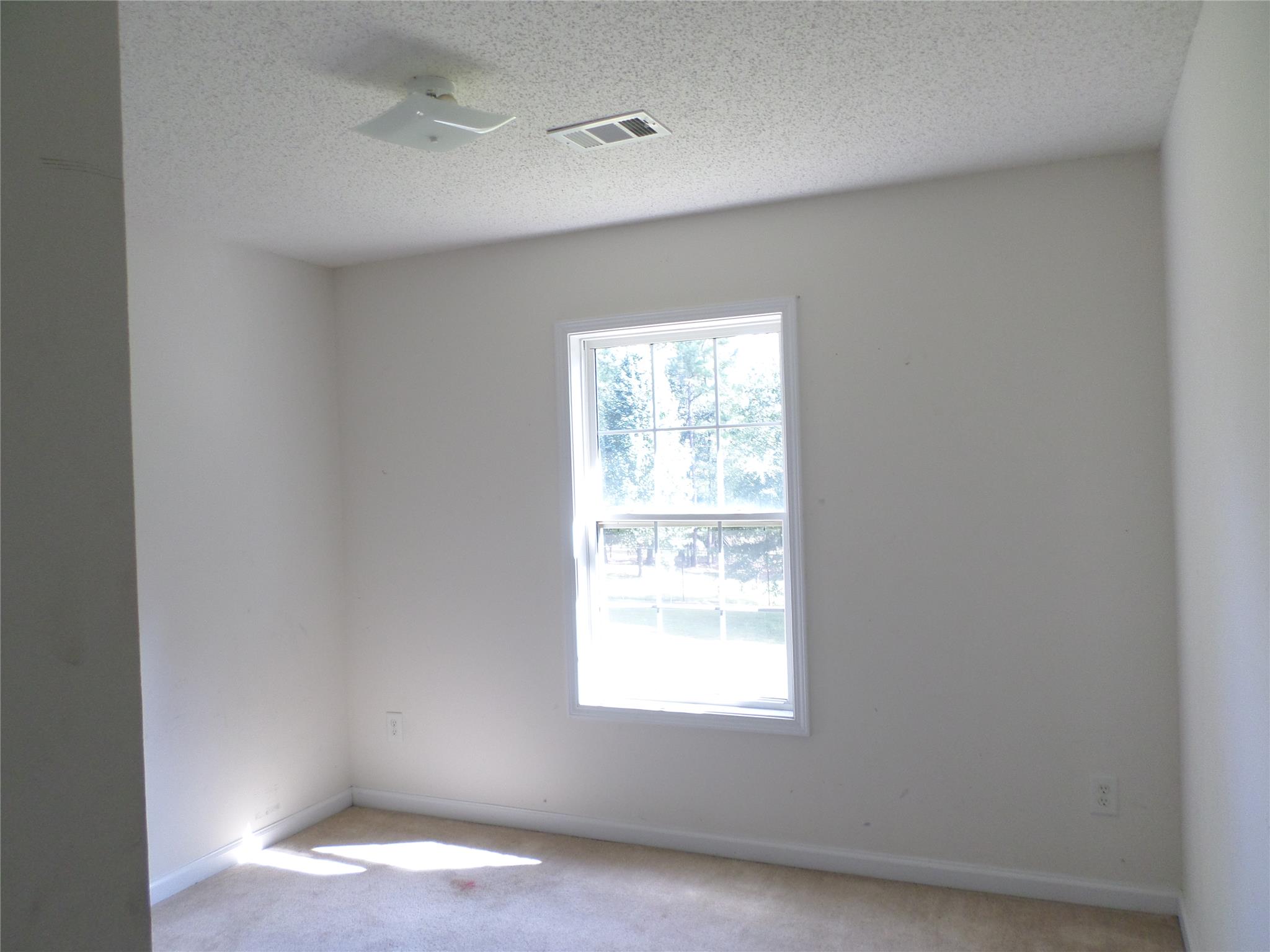 210 Crofton Rdg, Bethlehem, GA 30620 photo 10