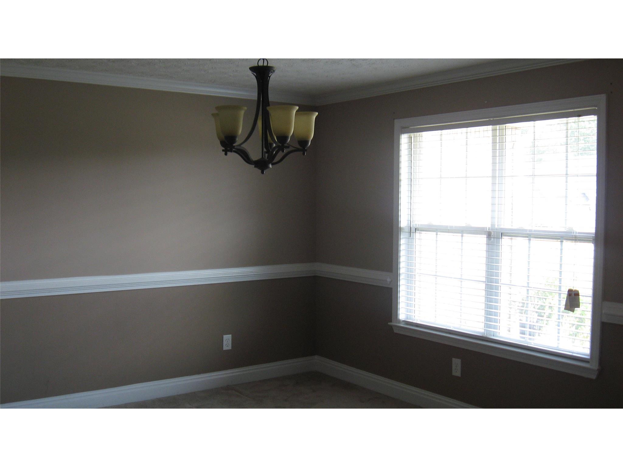 271 Crestwood Ct, Hampton, GA 30228 photo 14