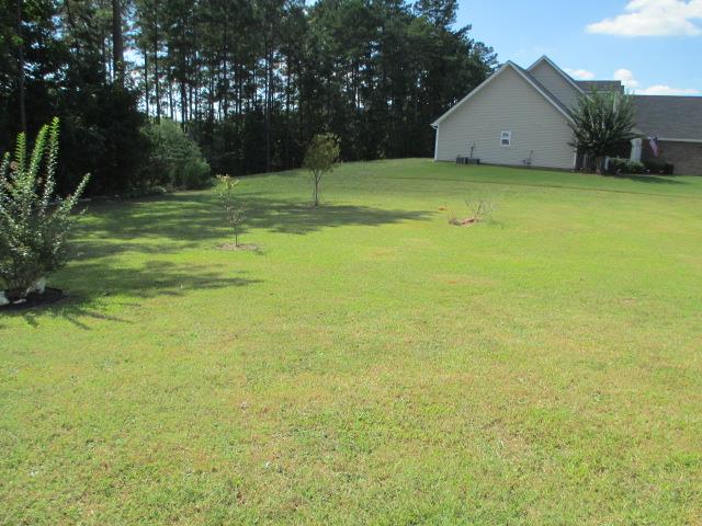 271 Crestwood Ct, Hampton, GA 30228 photo 5