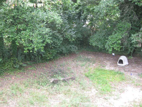1168 Duncan Ave, Macon, GA 31201 photo 8