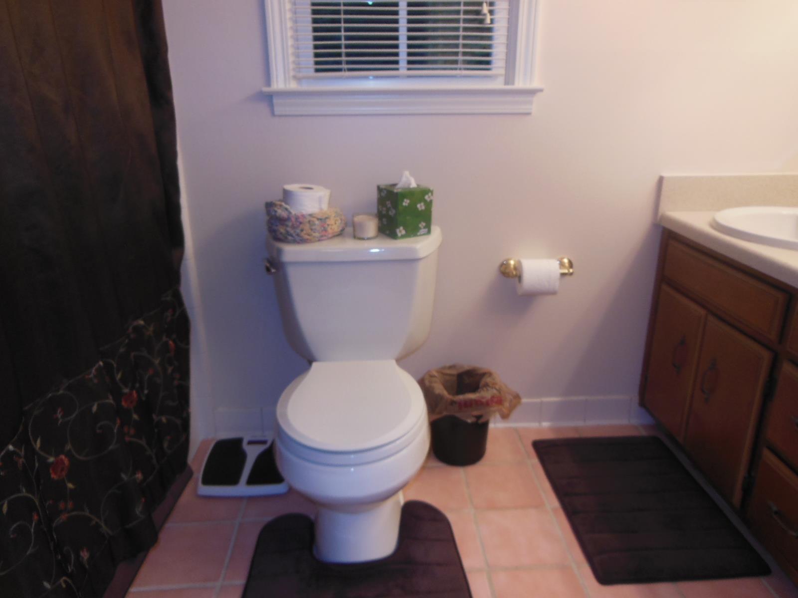 313 Wesley Cir, Toccoa, GA 30577 photo 4