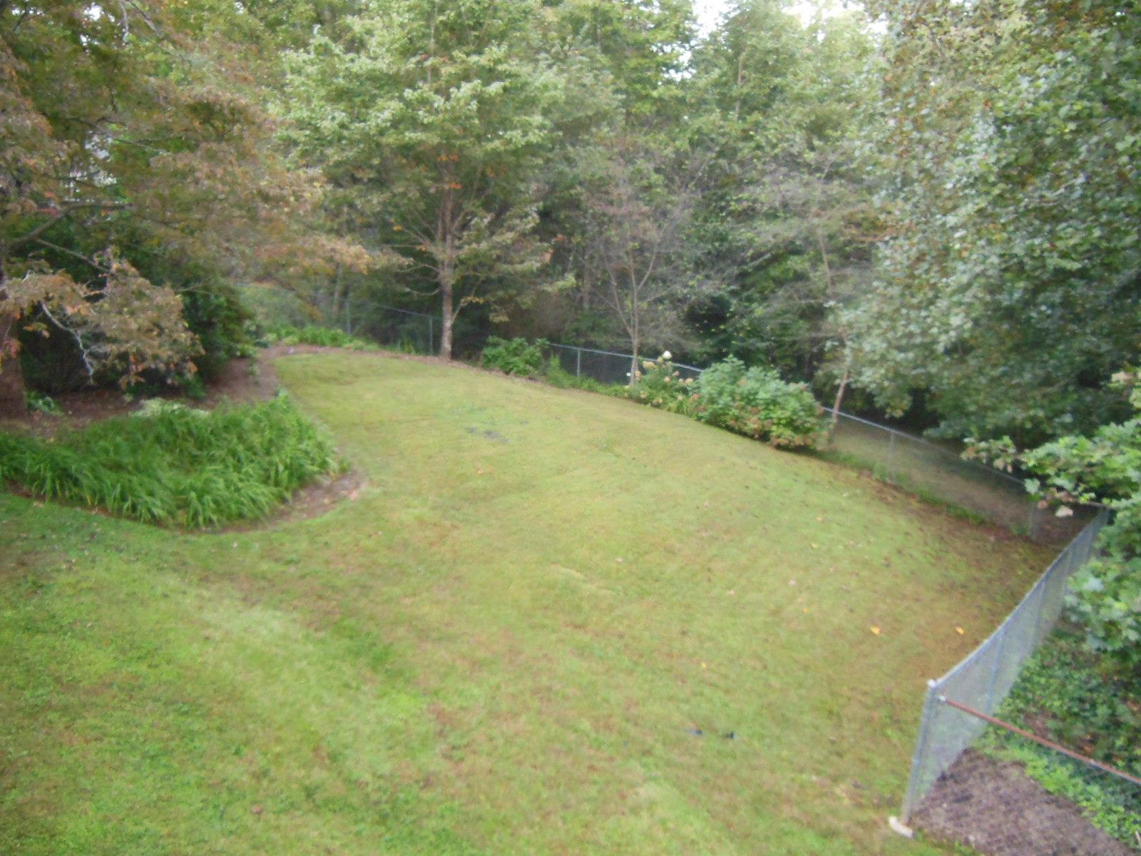 313 Wesley Cir, Toccoa, GA 30577 photo 11