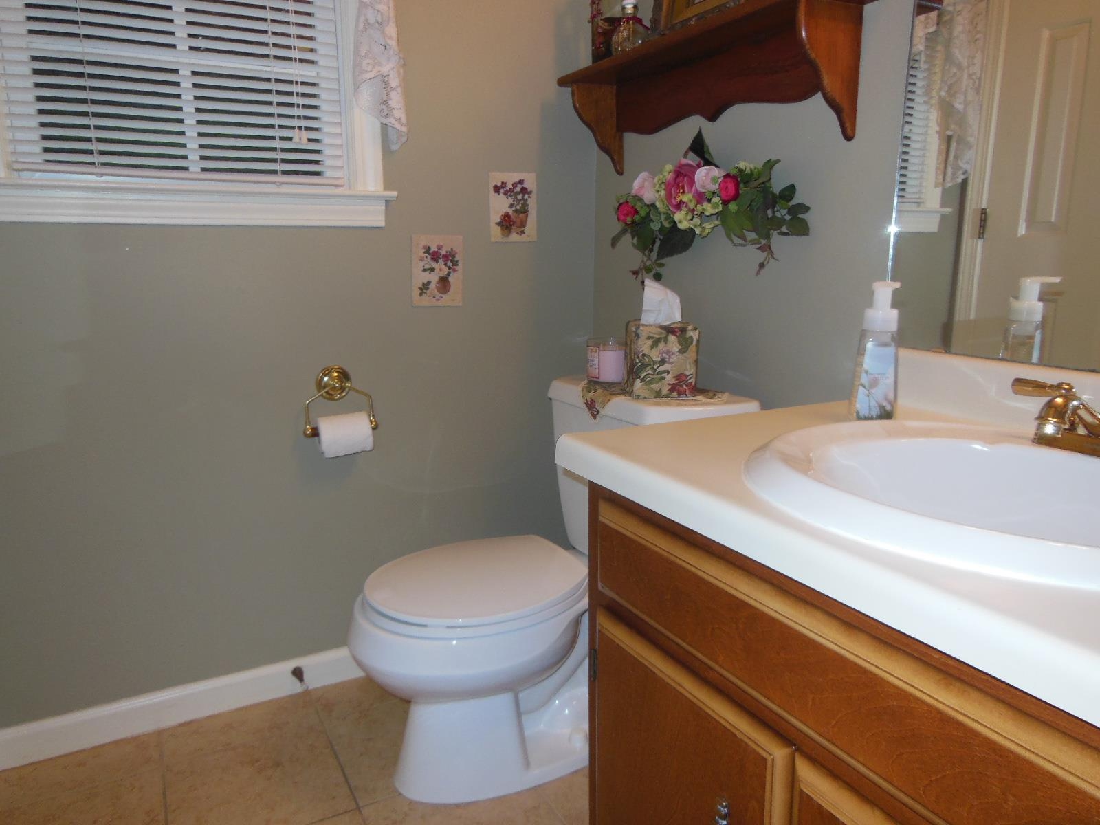 313 Wesley Cir, Toccoa, GA 30577 photo 18