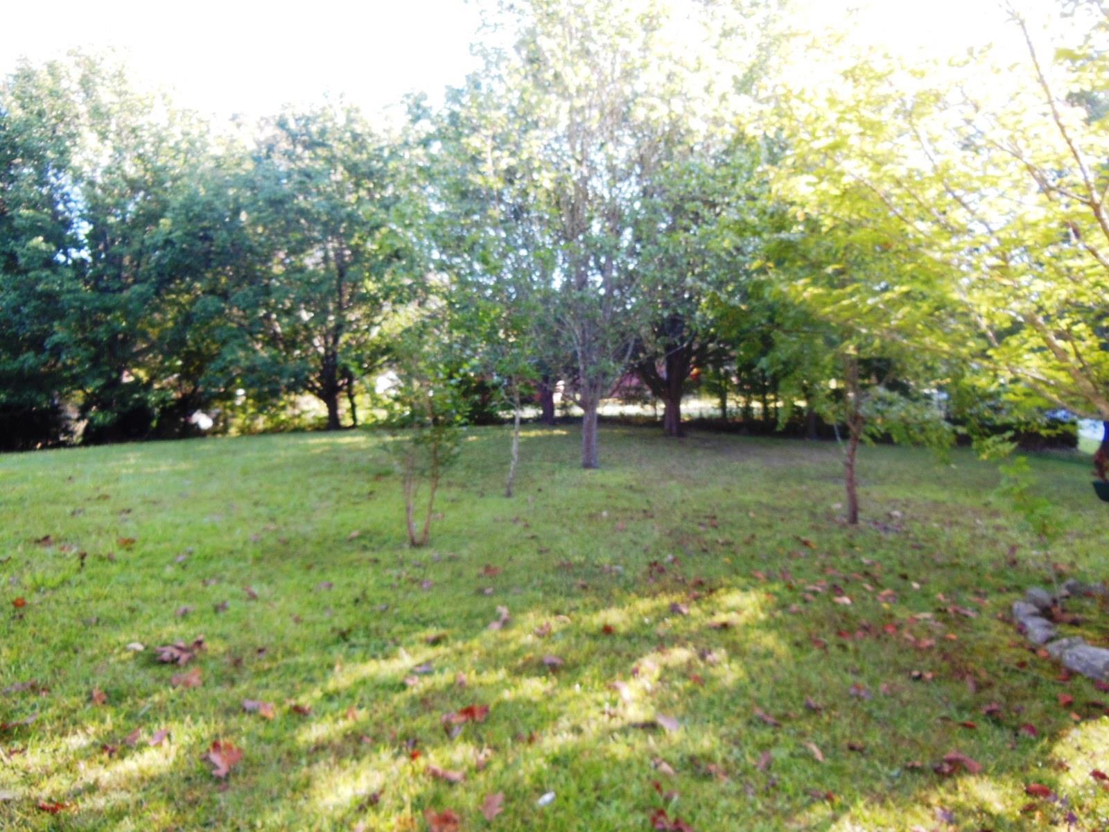 193 Poplar Cir, Toccoa, GA 30577 photo 19