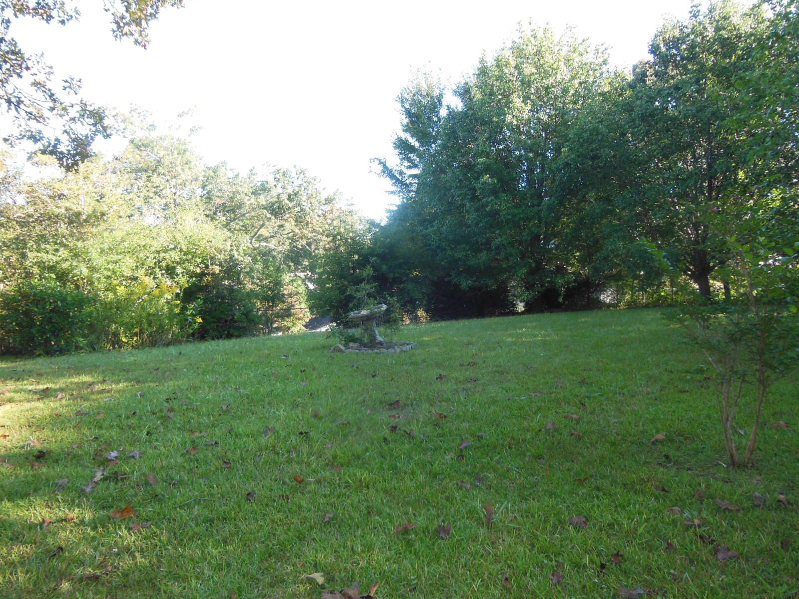 193 Poplar Cir, Toccoa, GA 30577 photo 18