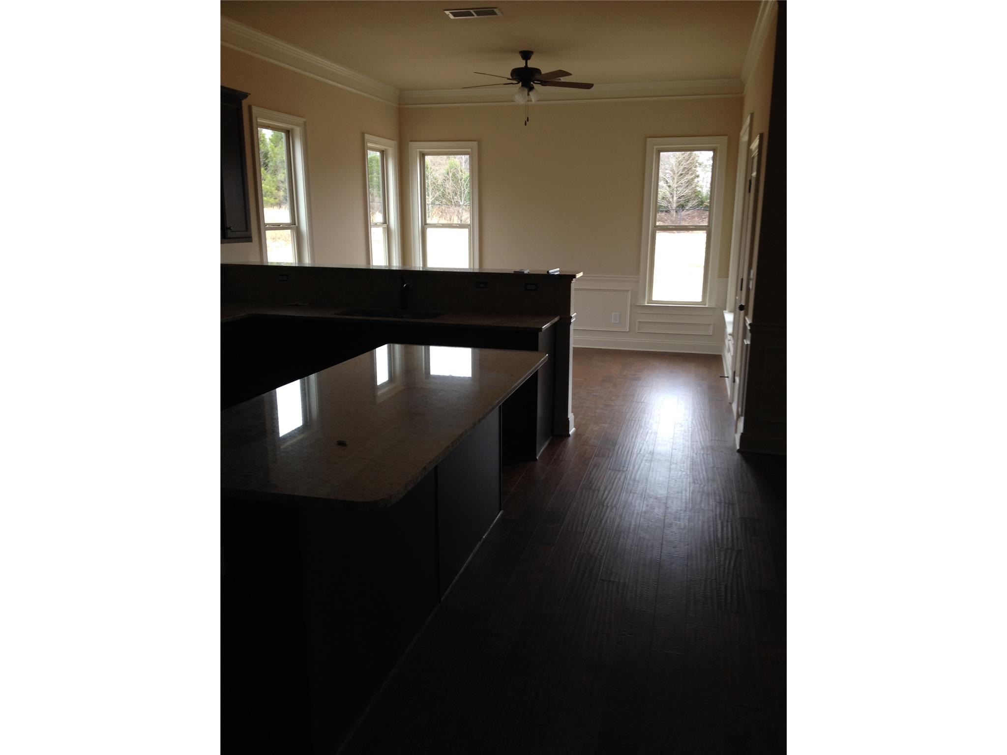 173 Traditions Ln, Hampton, GA 30228 photo 5