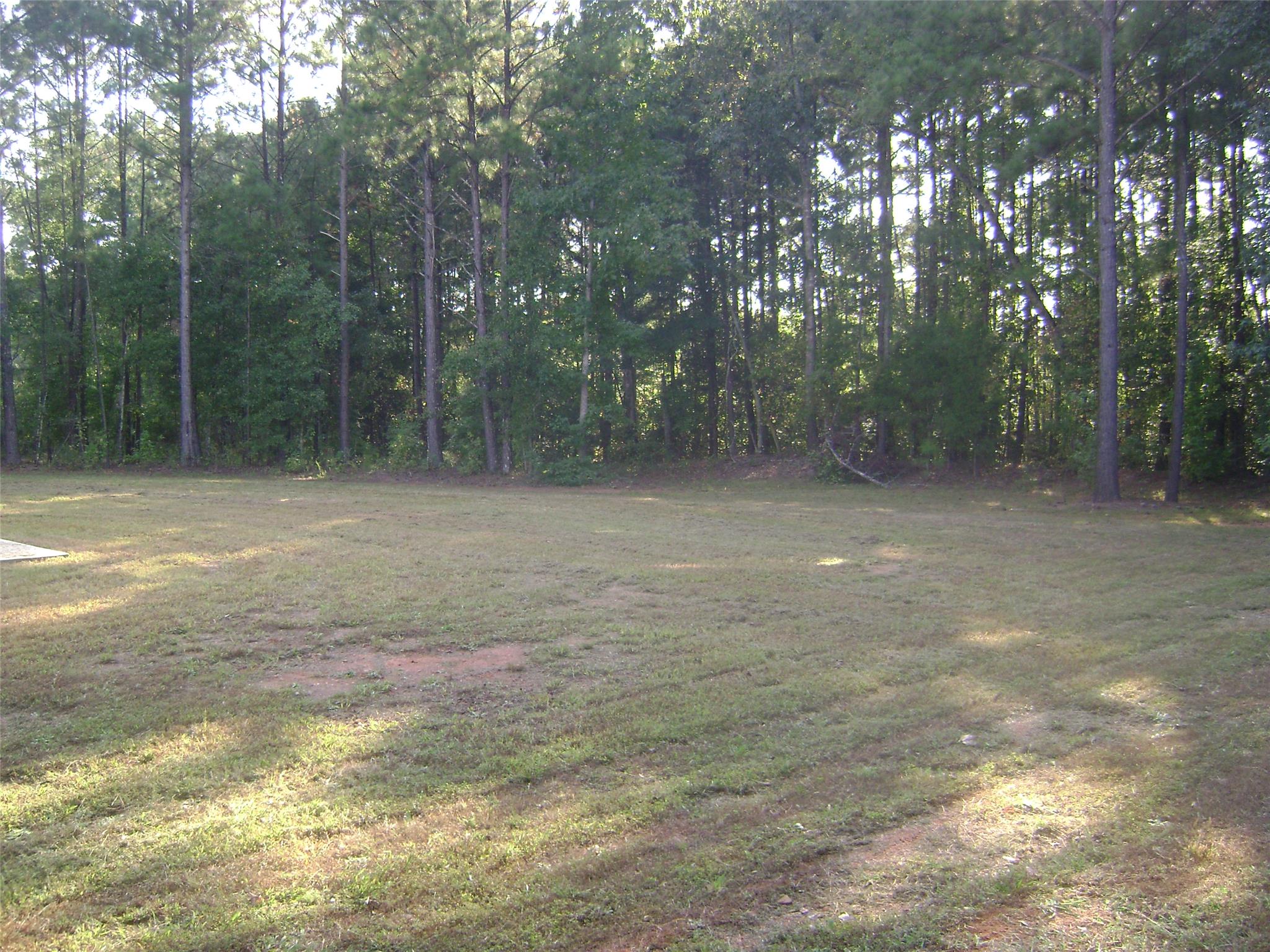 45 Skylar Dr, Covington, GA 30016 photo 17