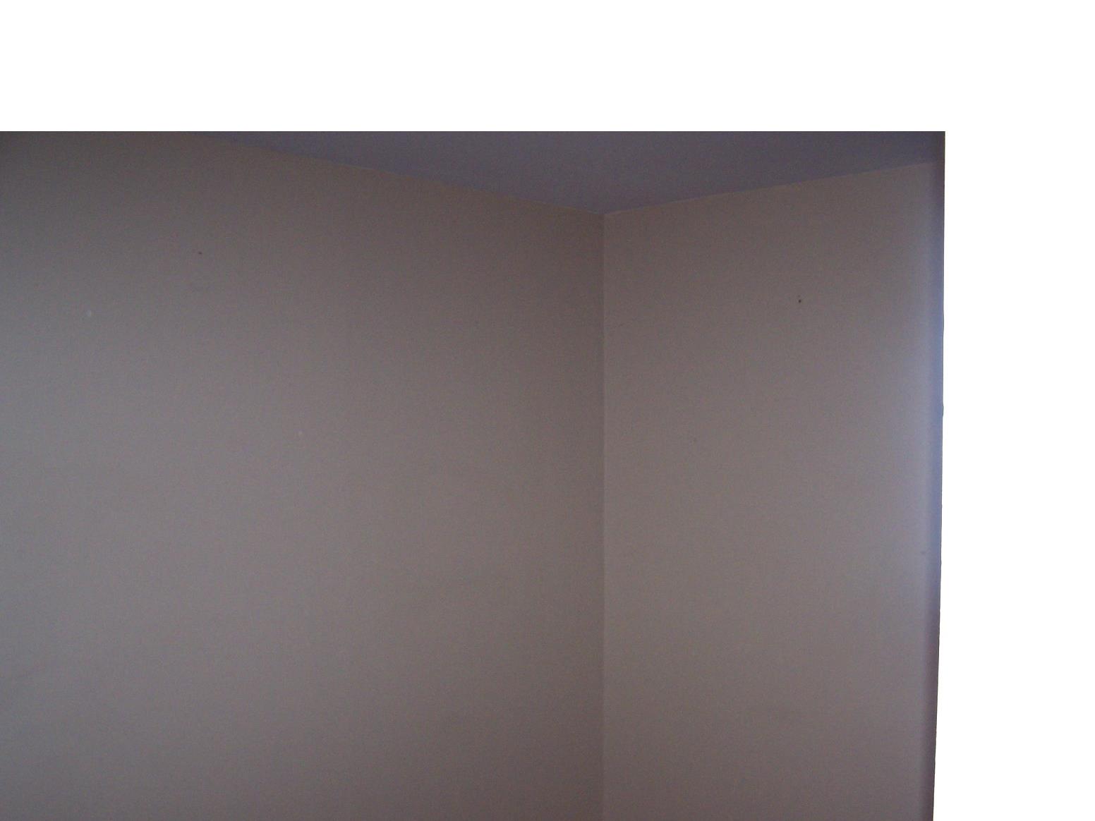 858 Johnson Mill Rd, Jefferson, GA 30549 photo 7