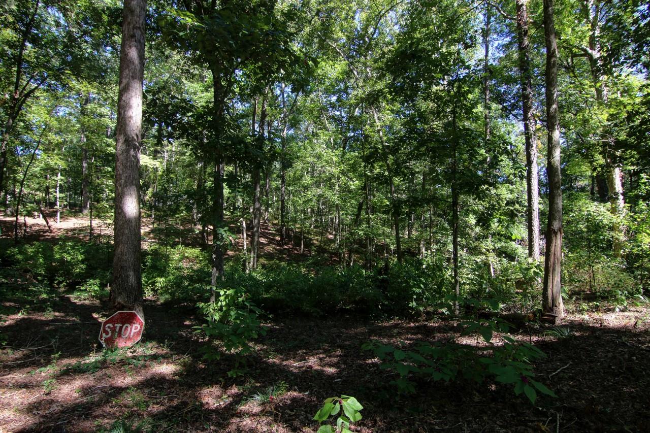 950 Bethany Rd, Covington, GA 30016 photo 4