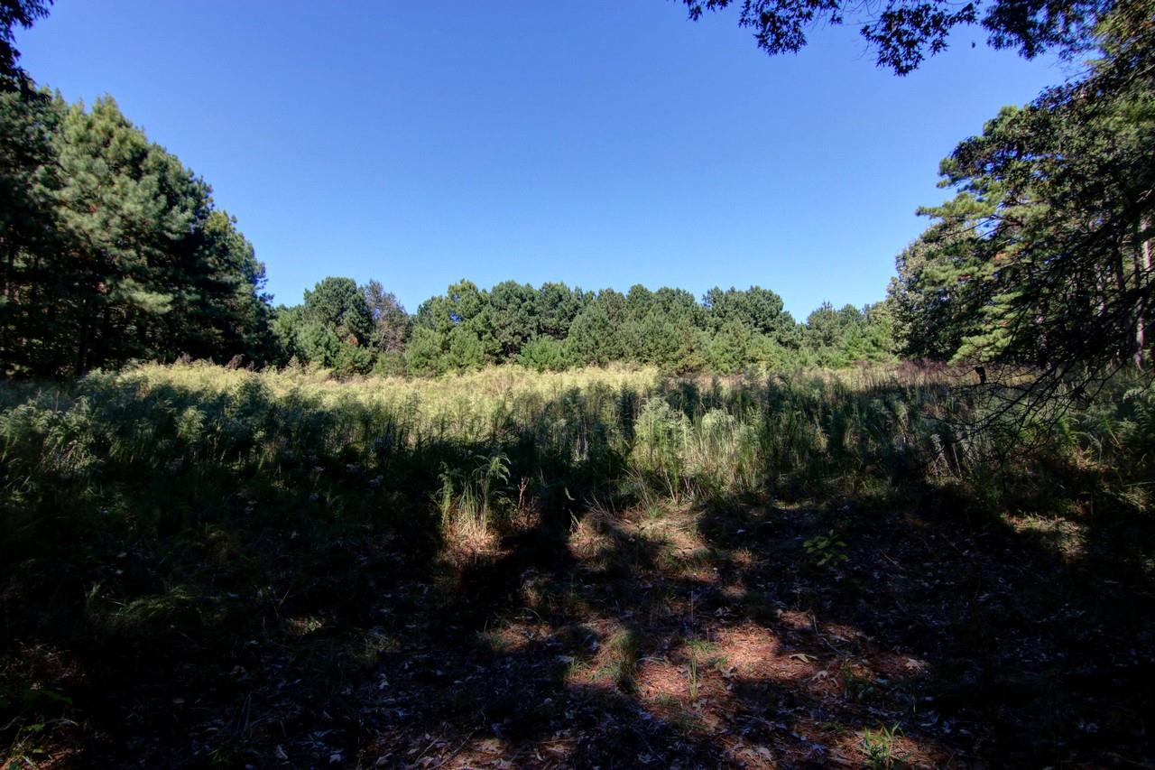 950 Bethany Rd, Covington, GA 30016 photo 5