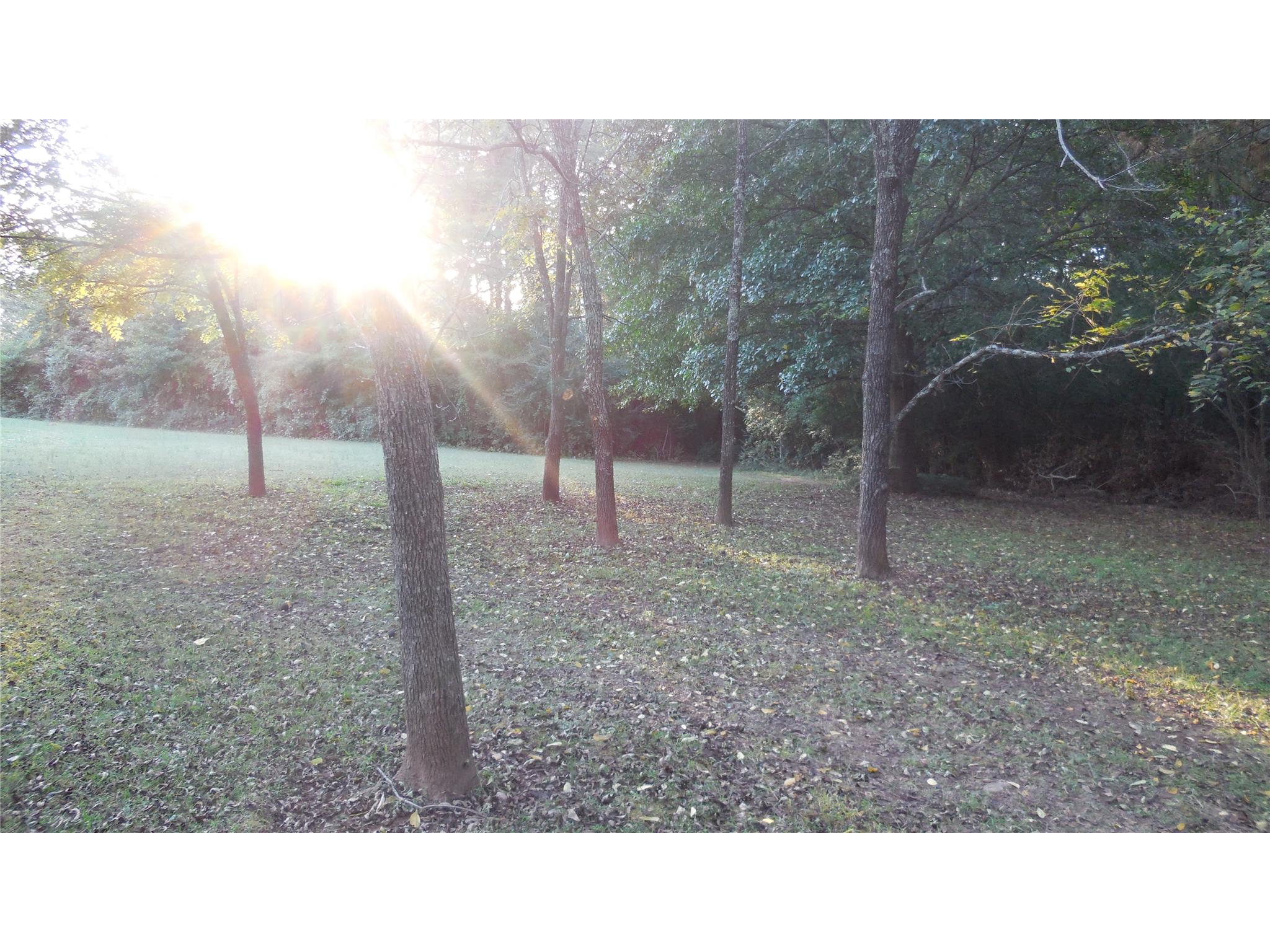 464 Rocky Creek Rd, Hampton, GA 30228 photo 3