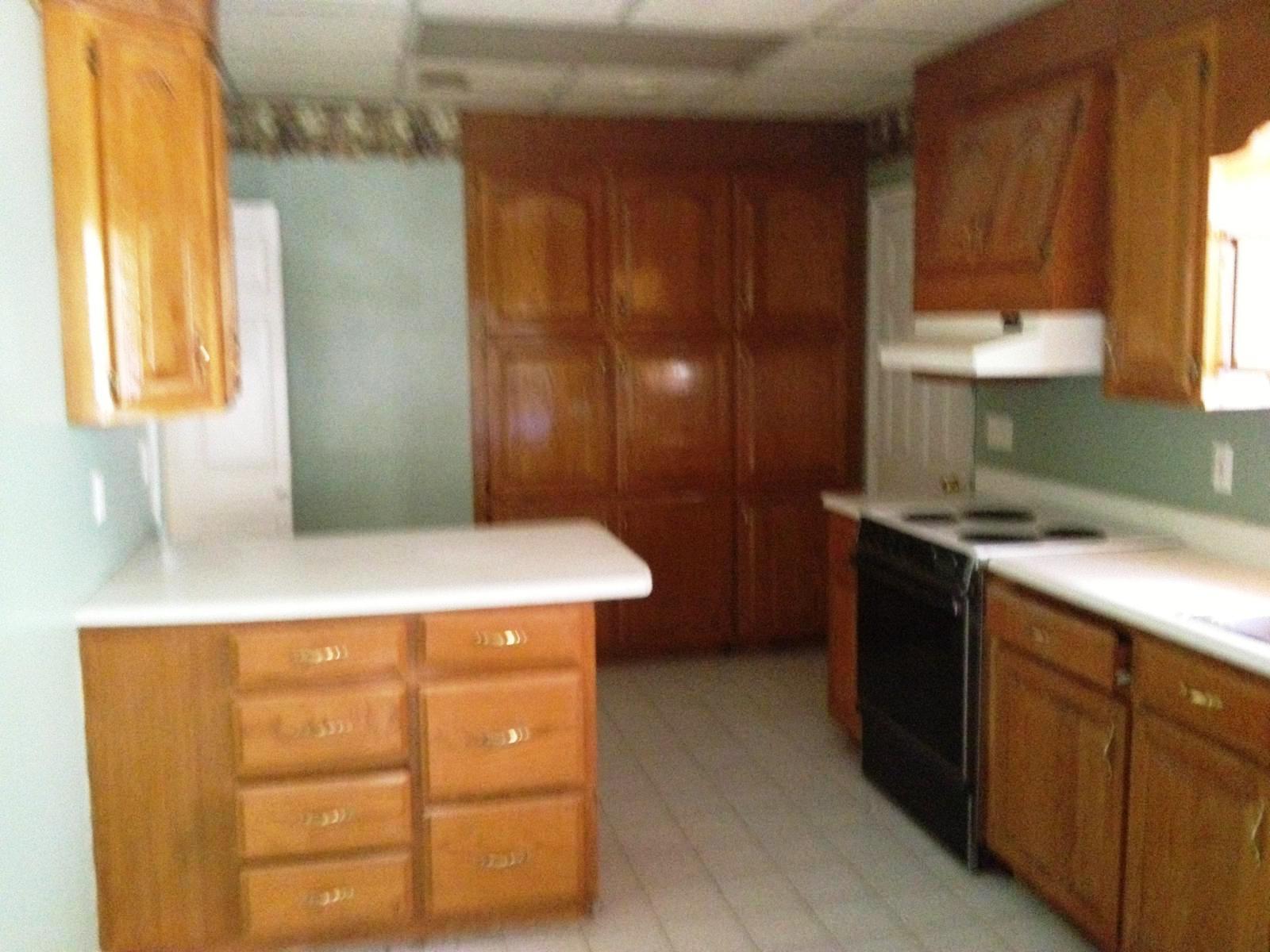 545 Blackberry Rd, Nahunta, GA 31553 photo 3