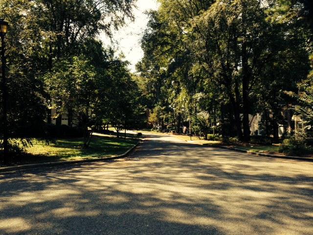 3739 Roscommon, Martinez, GA 30907 photo 16