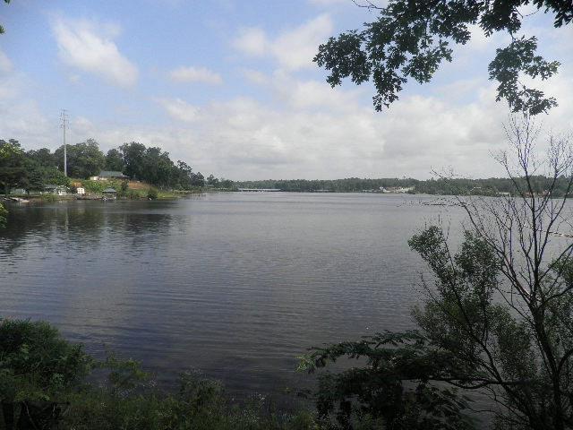 137 S Lakeview Dr, Ivey, GA 31031 photo 12