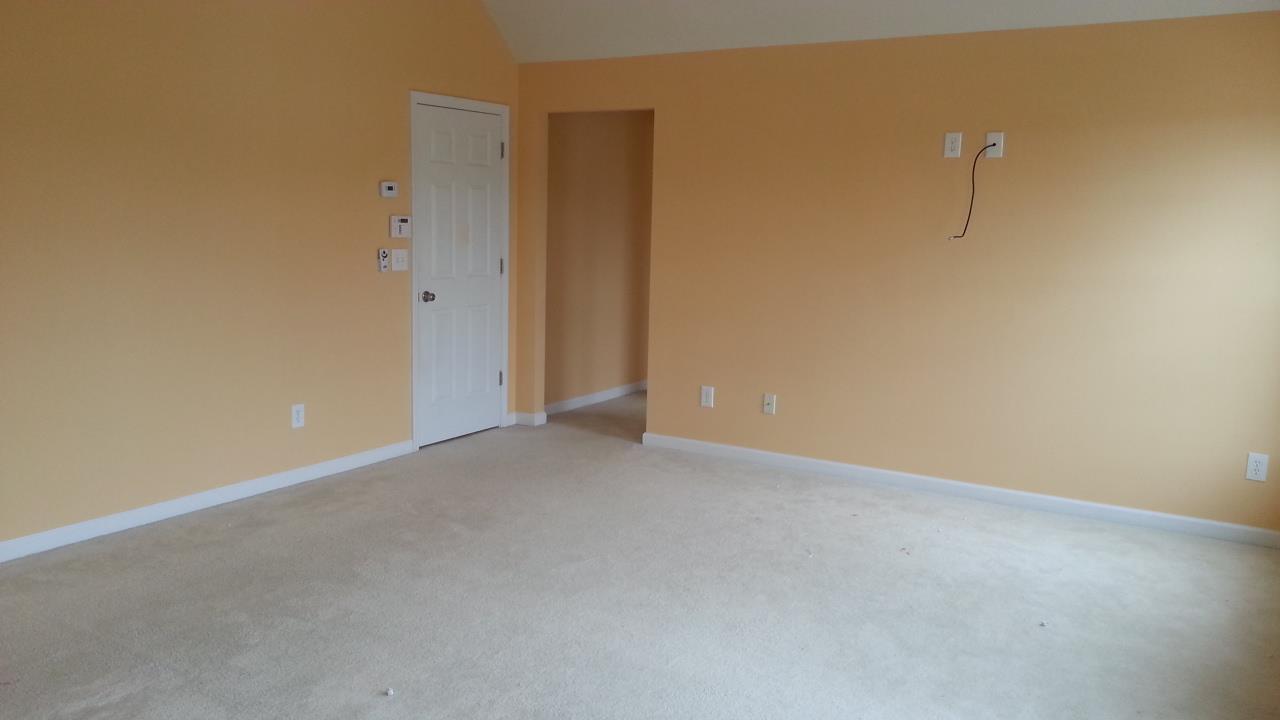 11631 Sarah Loop, Hampton, GA 30228 photo 14