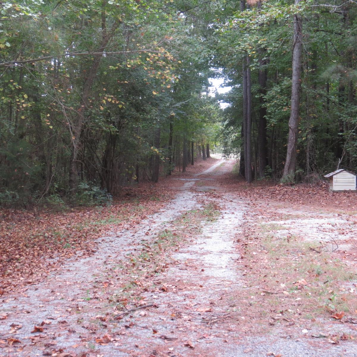 95 Jones Rd, Hampton, GA 30228 photo 10