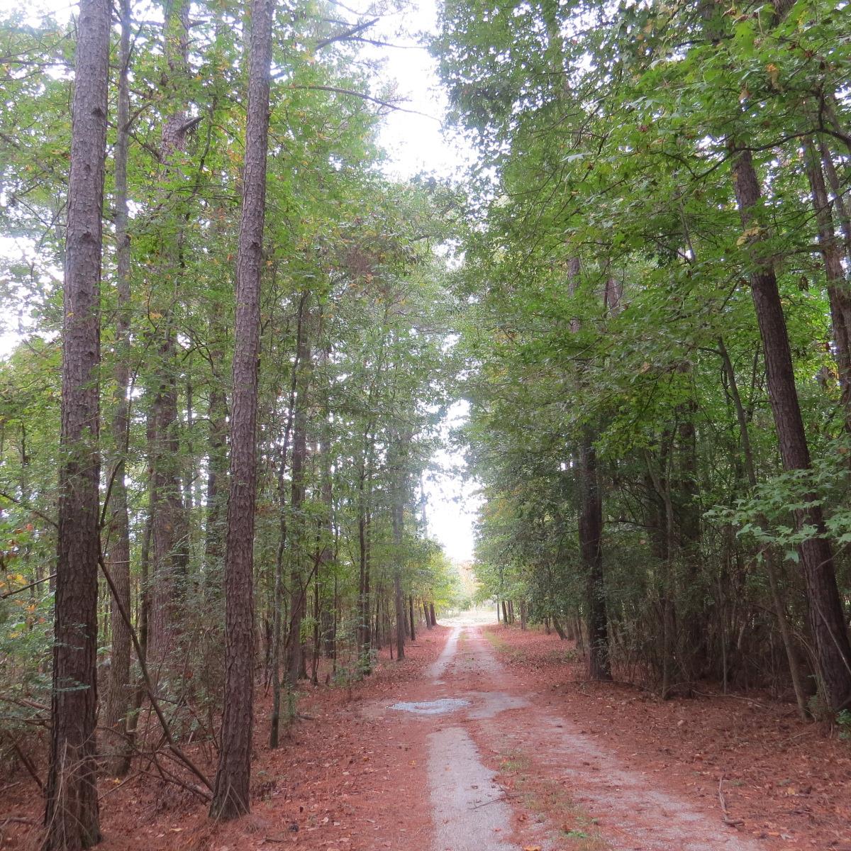 95 Jones Rd, Hampton, GA 30228 photo 16