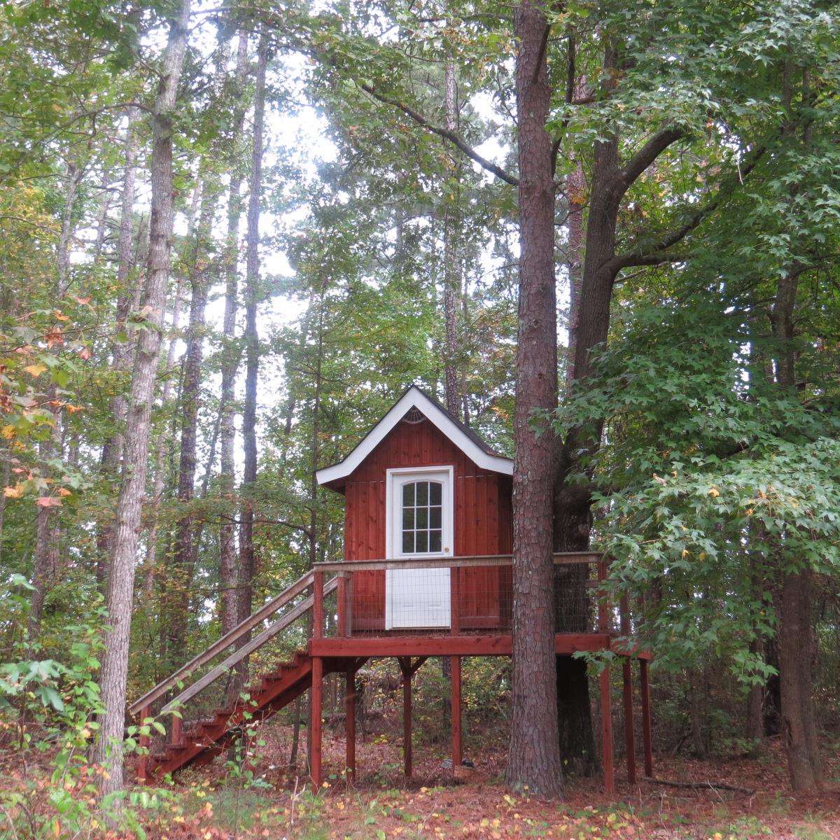 95 Jones Rd, Hampton, GA 30228 photo 15