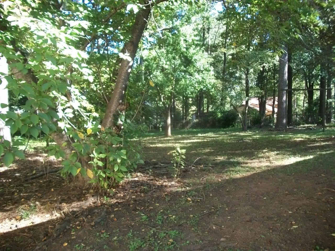 6460 Fleur De Lis Dr, Morrow, GA 30260 photo 2