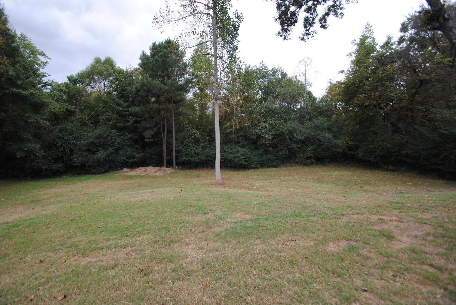 235 Bermuda Run Dr, Covington, GA 30016 photo 23