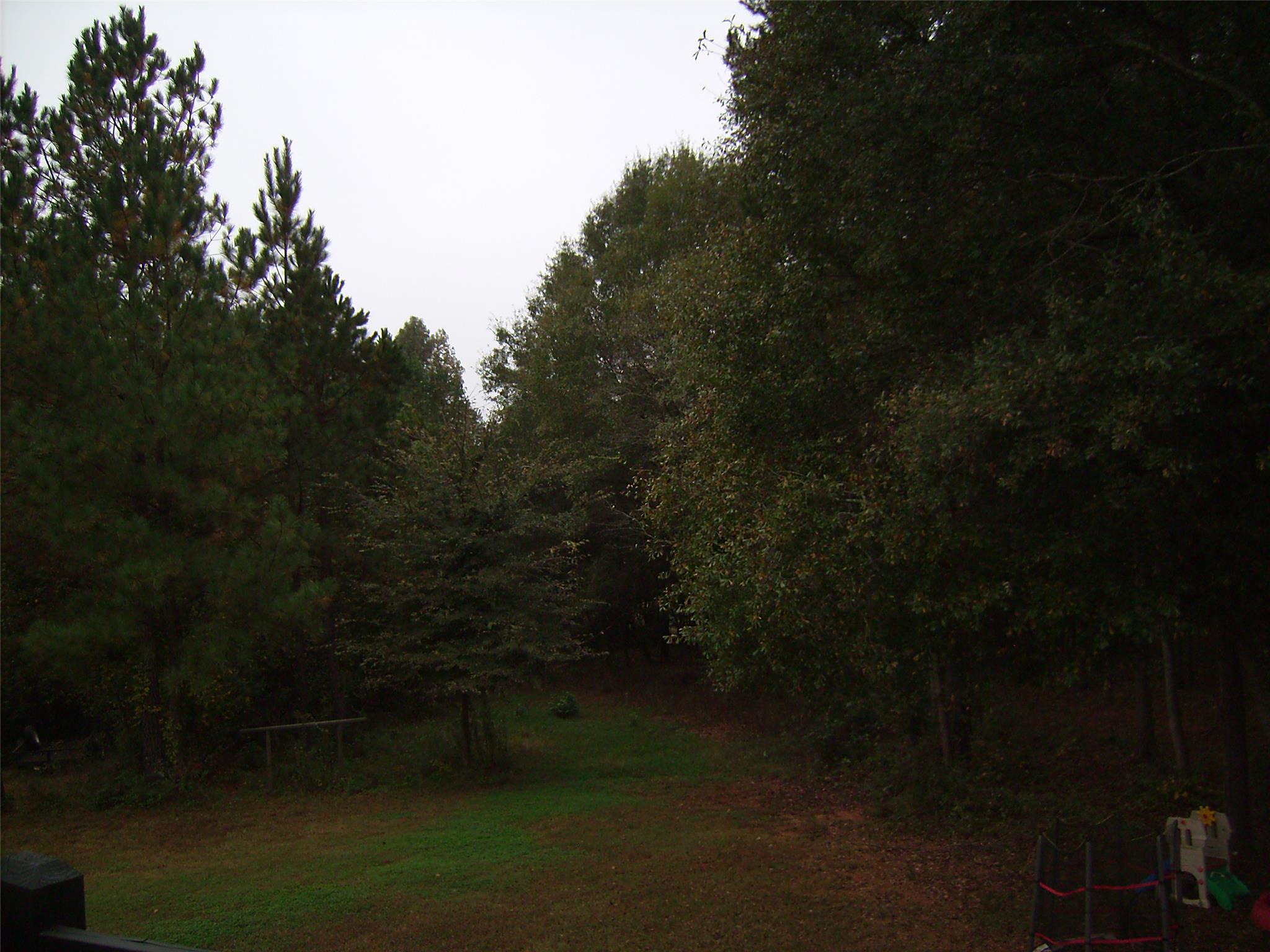 359 Centennial Dr, Bethlehem, GA 30620 photo 15