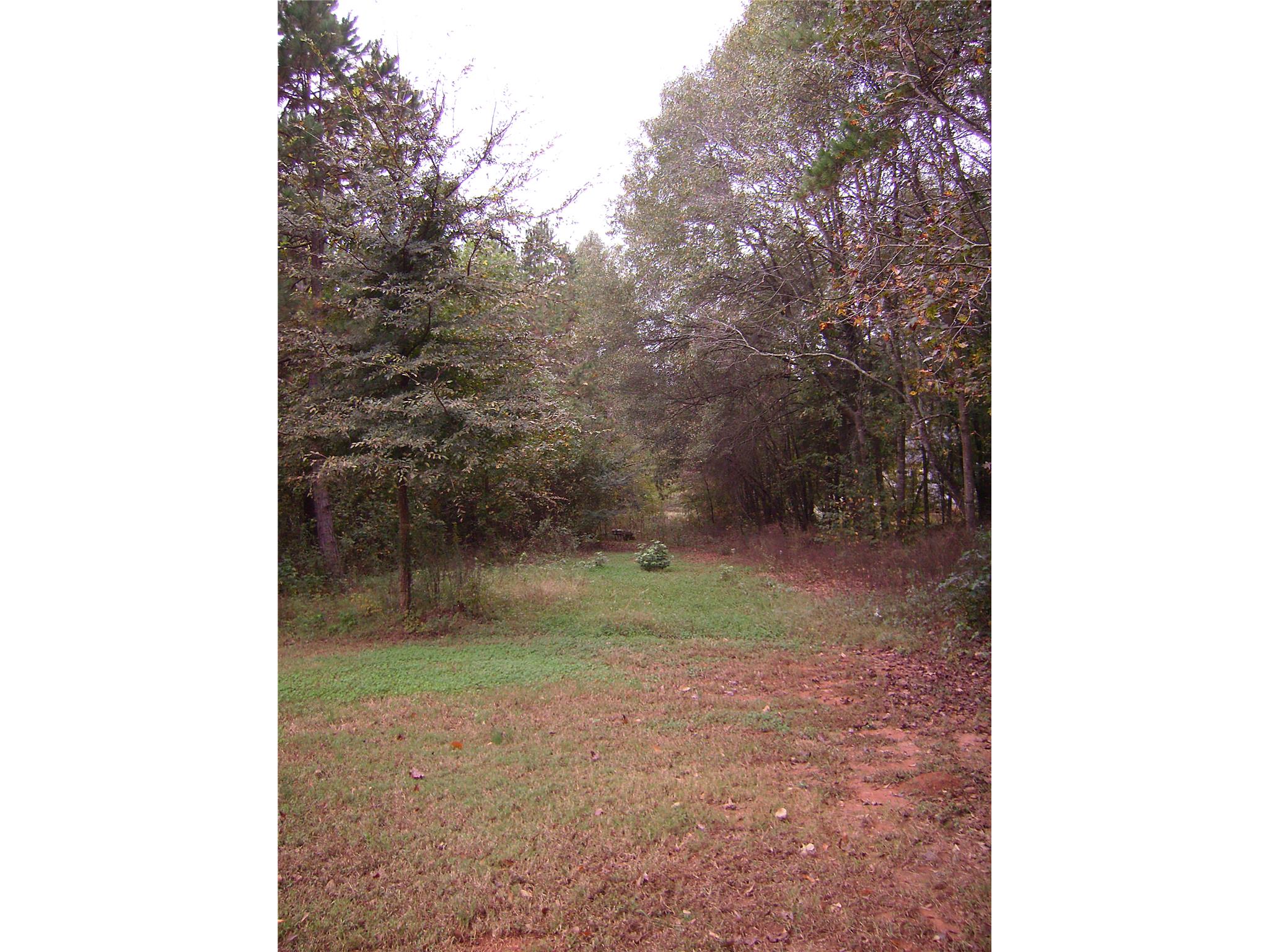 359 Centennial Dr, Bethlehem, GA 30620 photo 10