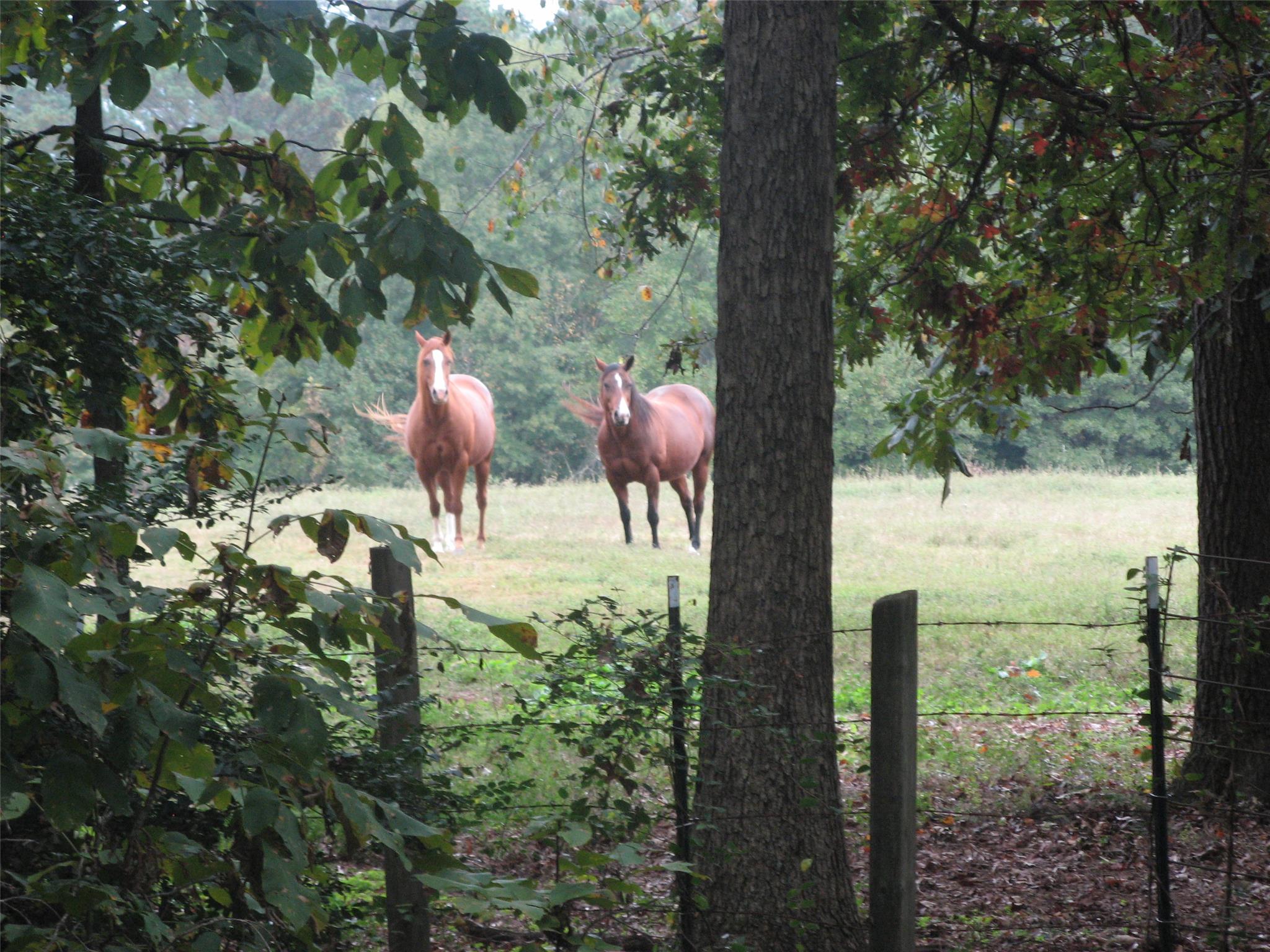 512 Argonne Rd, Winder, GA 30680 photo 21