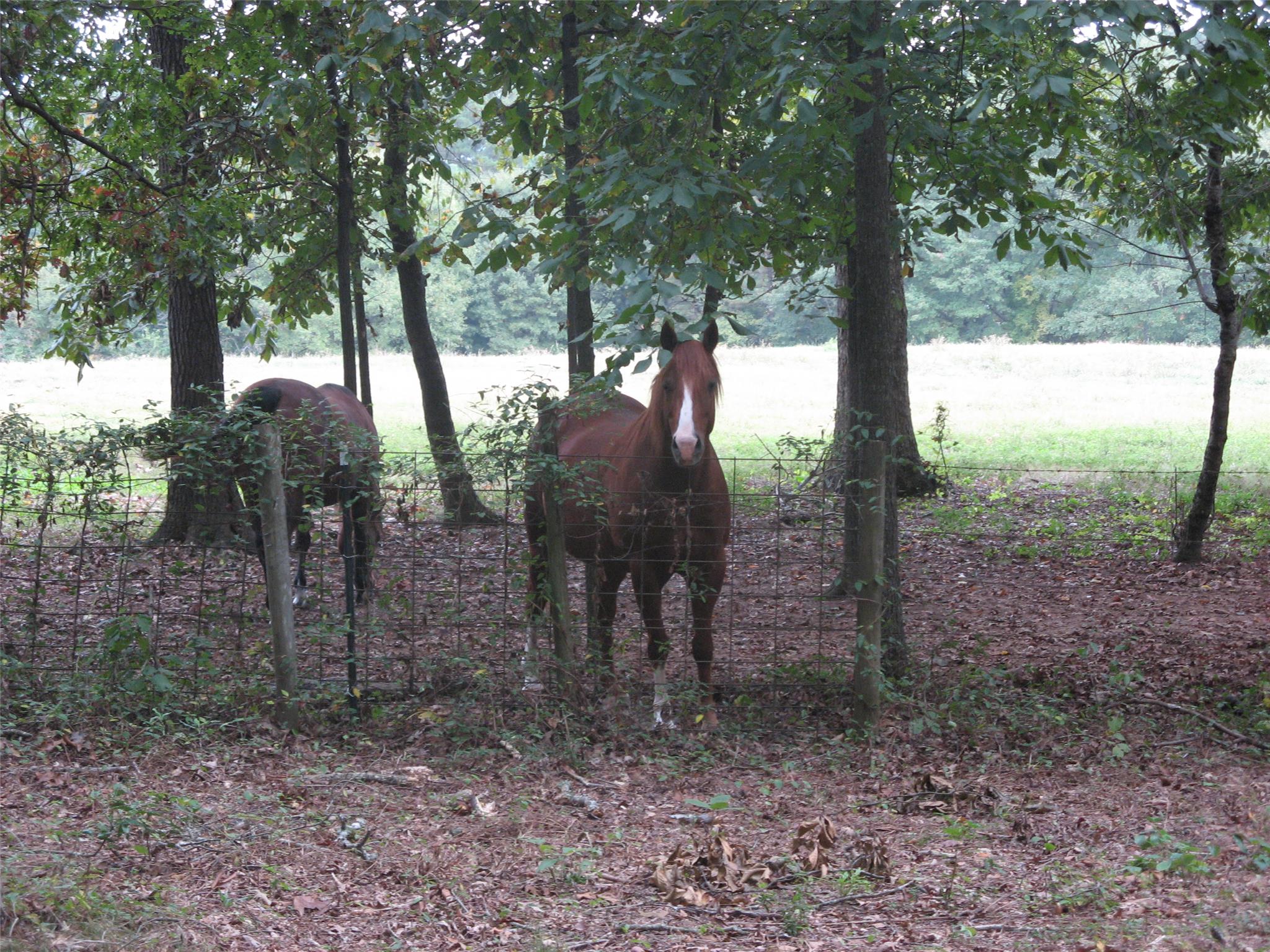 512 Argonne Rd, Winder, GA 30680 photo 24