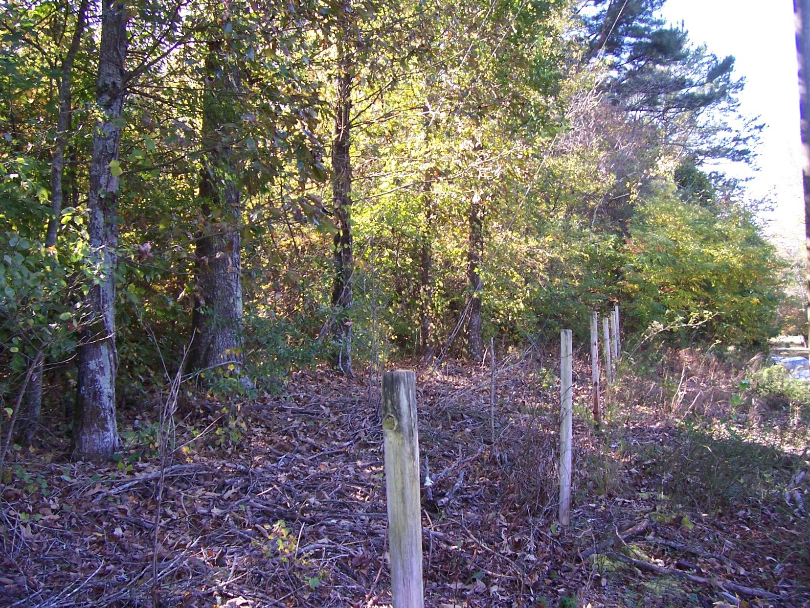 2265 Level Grove Rd, Cornelia, GA 30531 photo 14