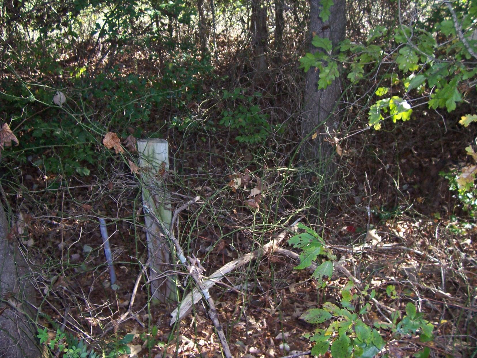2265 Level Grove Rd, Cornelia, GA 30531 photo 13