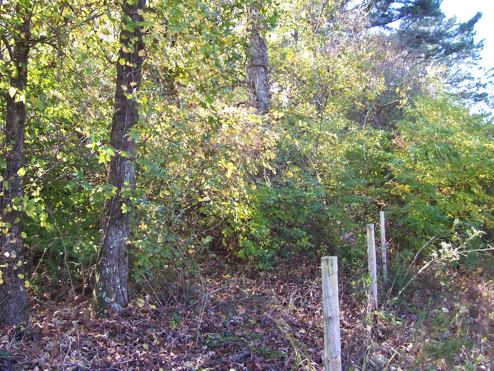 2265 Level Grove Rd, Cornelia, GA 30531 photo 15