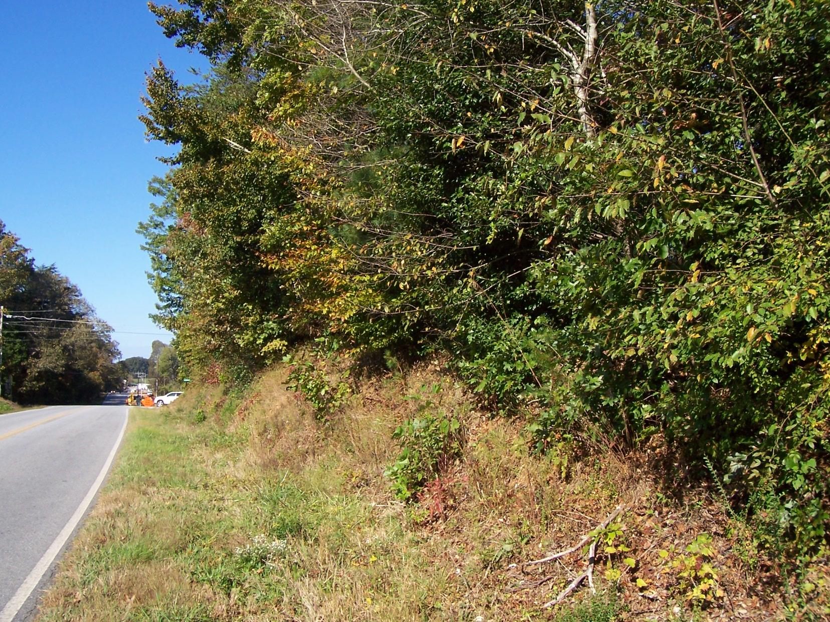 2265 Level Grove Rd, Cornelia, GA 30531 photo 8