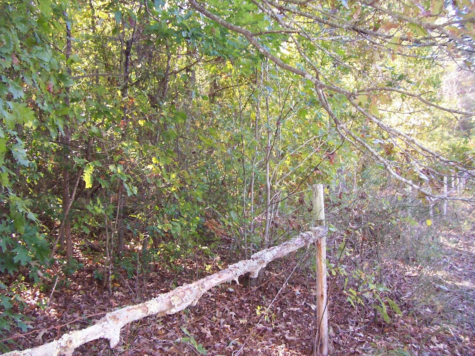 2265 Level Grove Rd, Cornelia, GA 30531 photo 7
