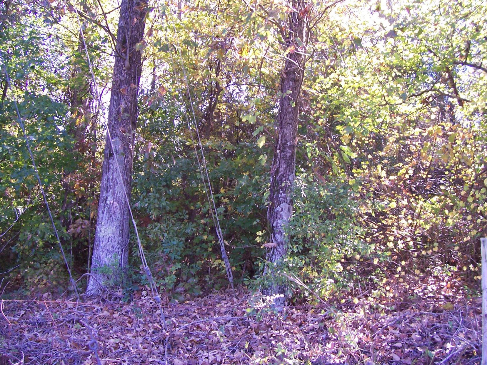 2265 Level Grove Rd, Cornelia, GA 30531 photo 16