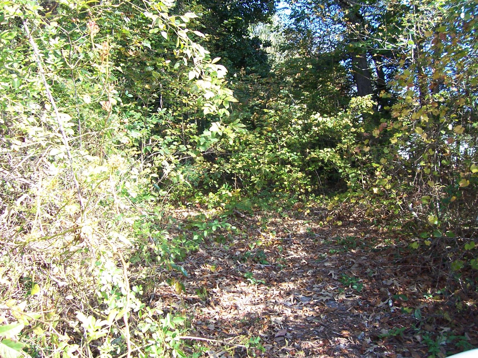 2265 Level Grove Rd, Cornelia, GA 30531 photo 1