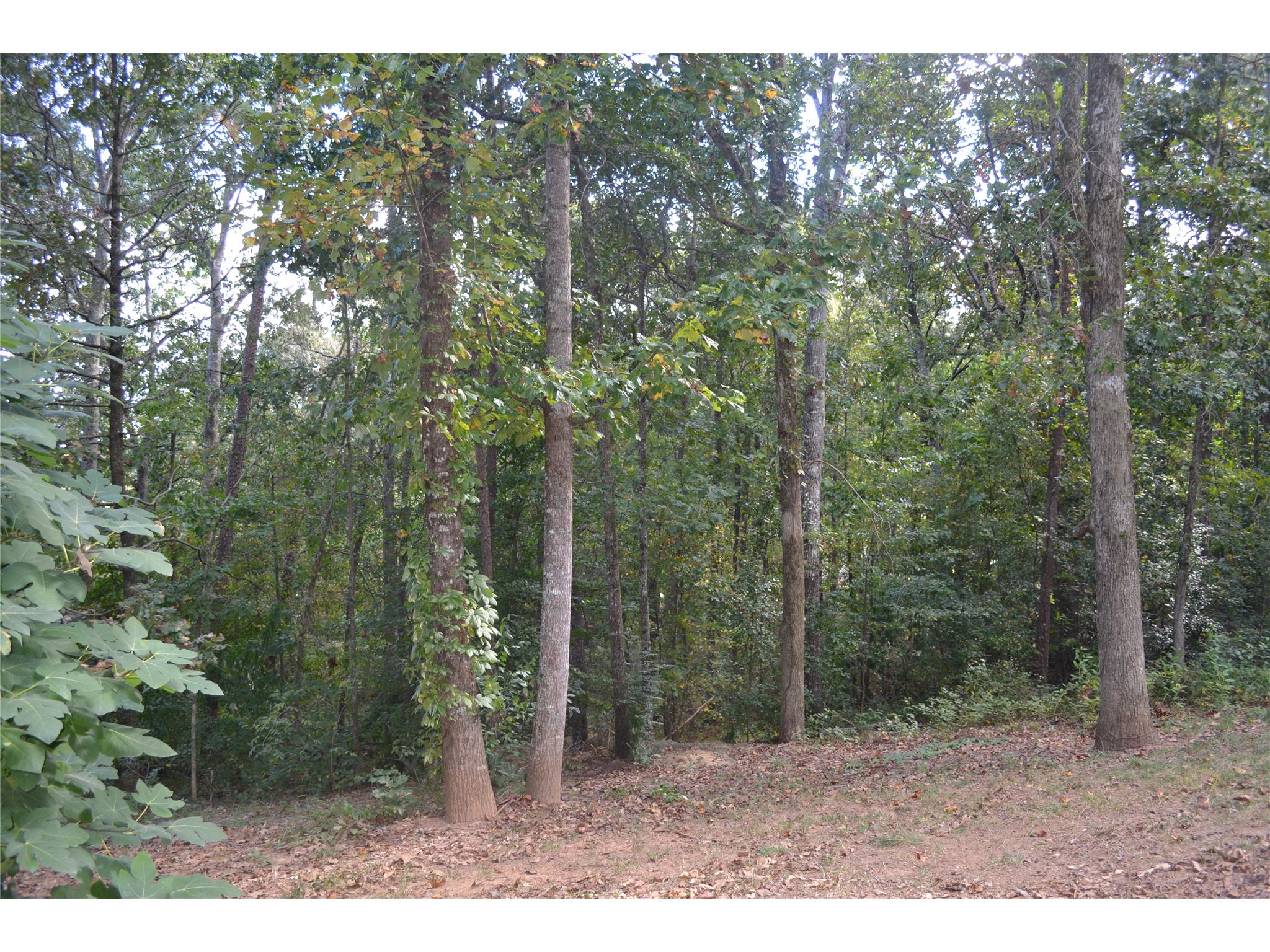 108 Eagle Ridge Dr, Canton, GA 30114 photo 25