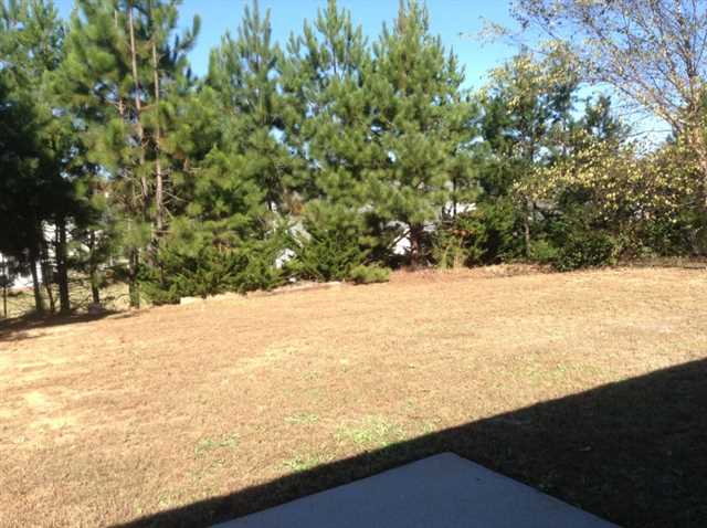 1800 Patrick Mill Pl, Buford, GA 30518 photo 20