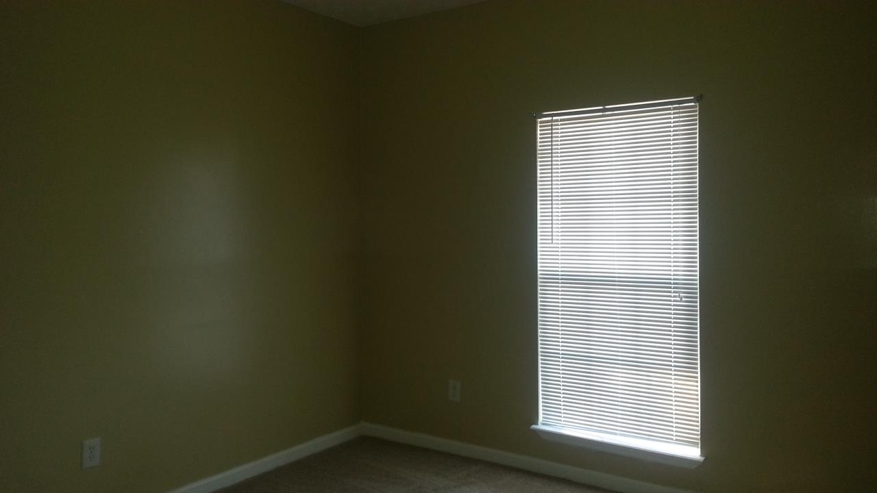 115 Willis Dr, Molena, GA 30258 photo 11