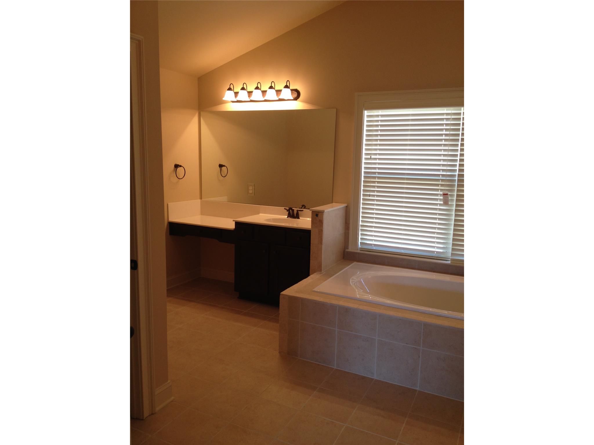 145 Traditions Ln, Hampton, GA 30228 photo 17