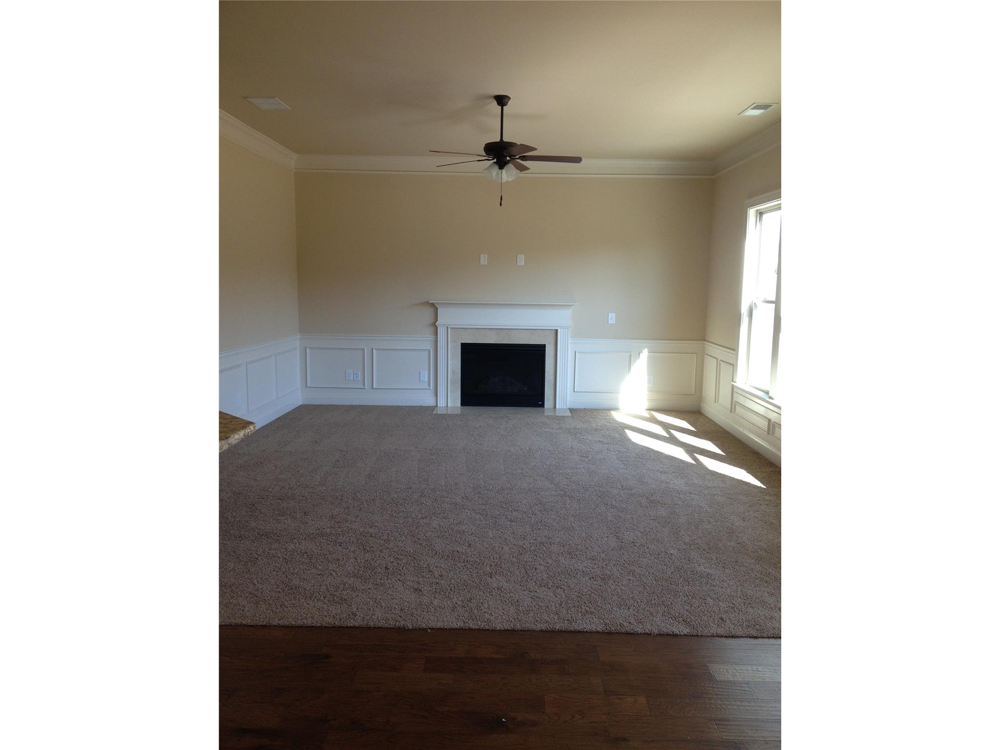 145 Traditions Ln, Hampton, GA 30228 photo 7