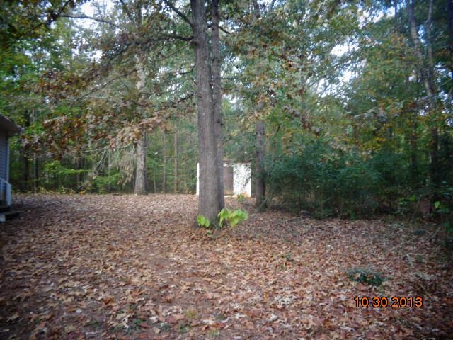 115 Shady Ln, Jackson, GA 30233 photo 11