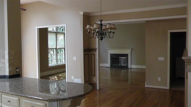 640 Rain Willow Ln, Duluth, GA 30097 photo 2