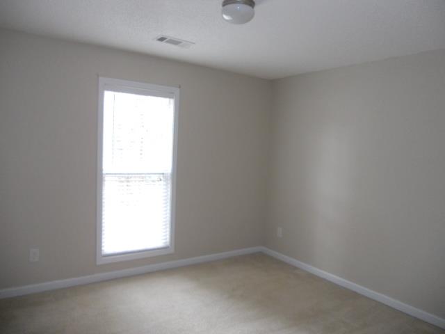 1254 Persimmon Place Dr, Bethlehem, GA 30620 photo 16