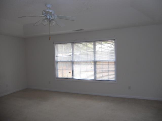 1254 Persimmon Place Dr, Bethlehem, GA 30620 photo 10