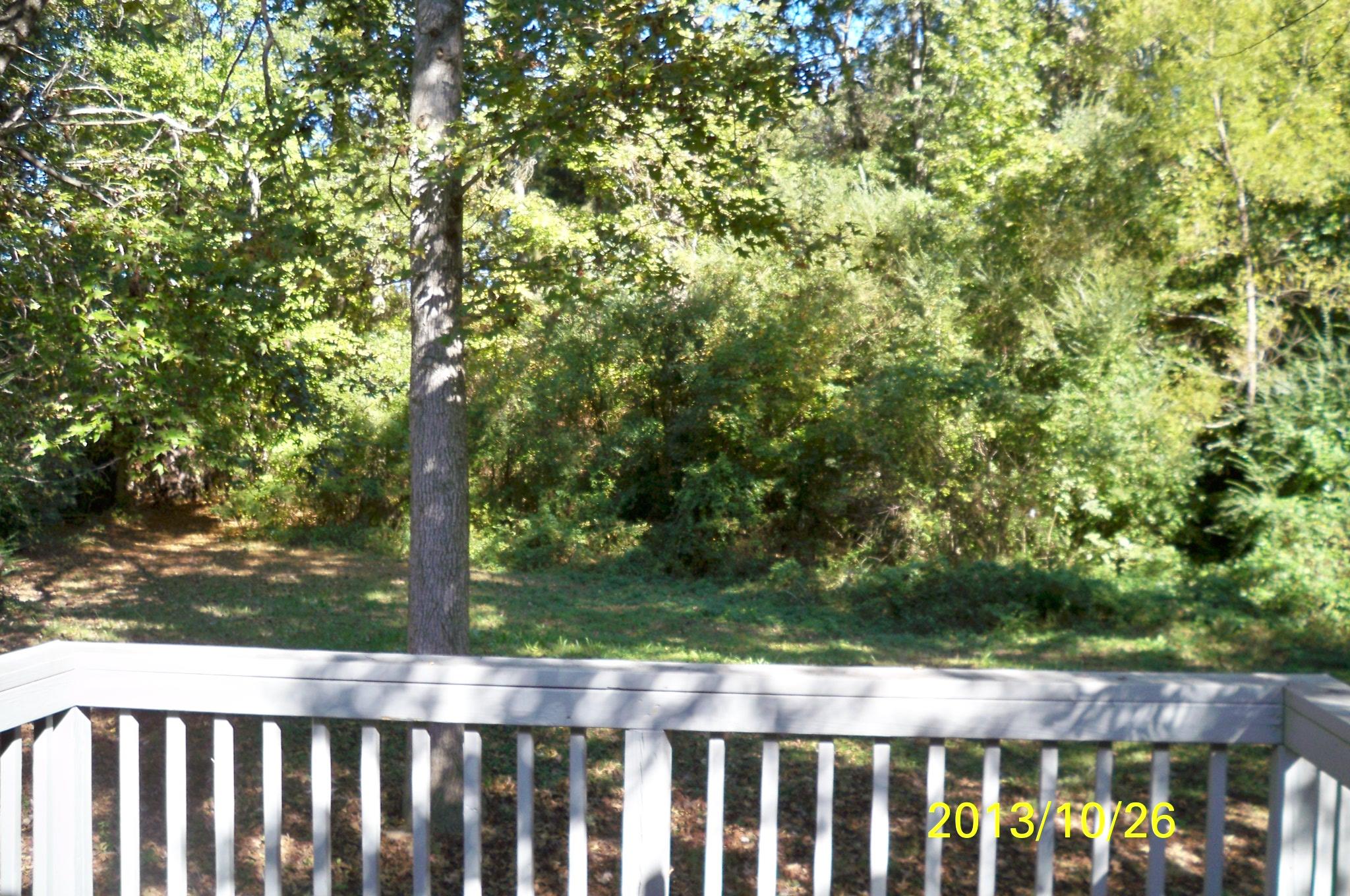 91 Hampton Oaks Dr, Hampton, GA 30228 photo 11