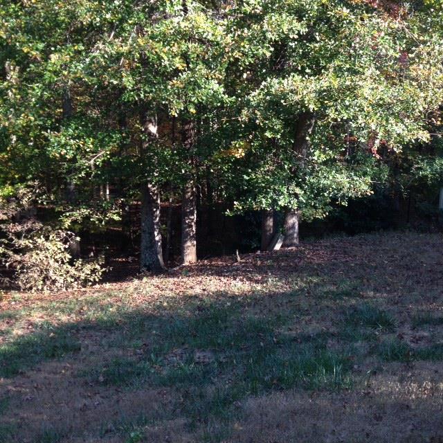 12632 Panhandle Rd, Hampton, GA 30228 photo 5