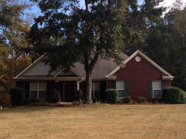 12632 Panhandle Rd, Hampton, GA 30228 photo 1
