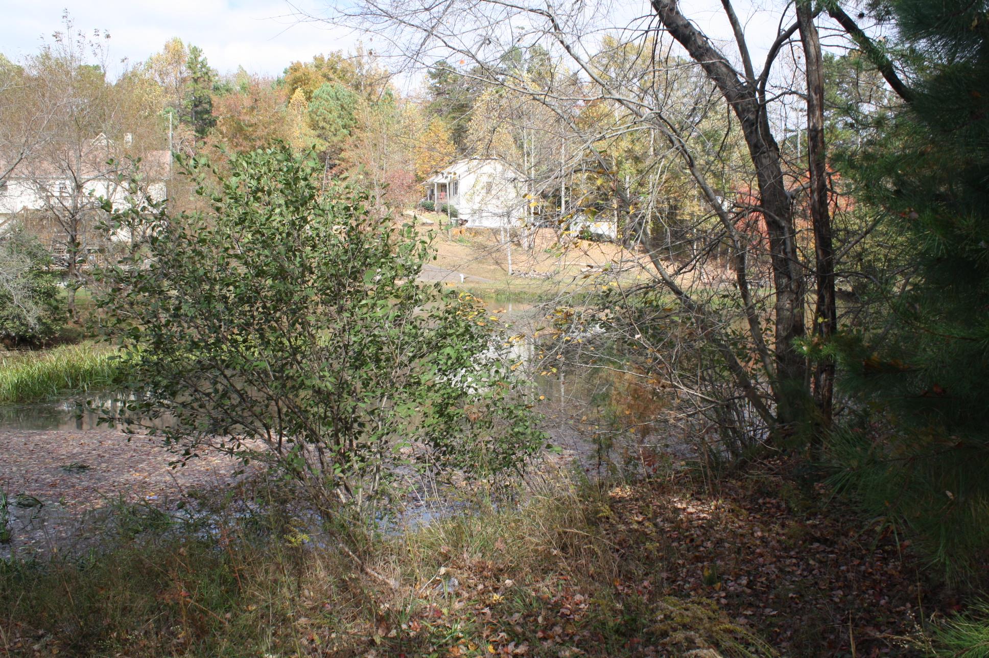 178 Emerald Ln, Jasper, GA 30143 photo 21